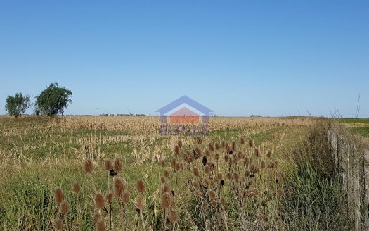 replus vende campo de 8 hectáreas en venta en lincoln